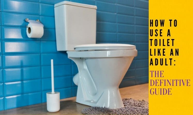 How to Use a Toilet Like an Adult: The Definitive Guide - Toiletever