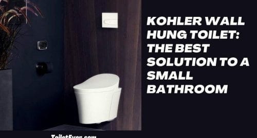 Kohler Wall Hung Toilet