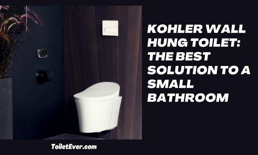 Kohler Wall Hung Toilet