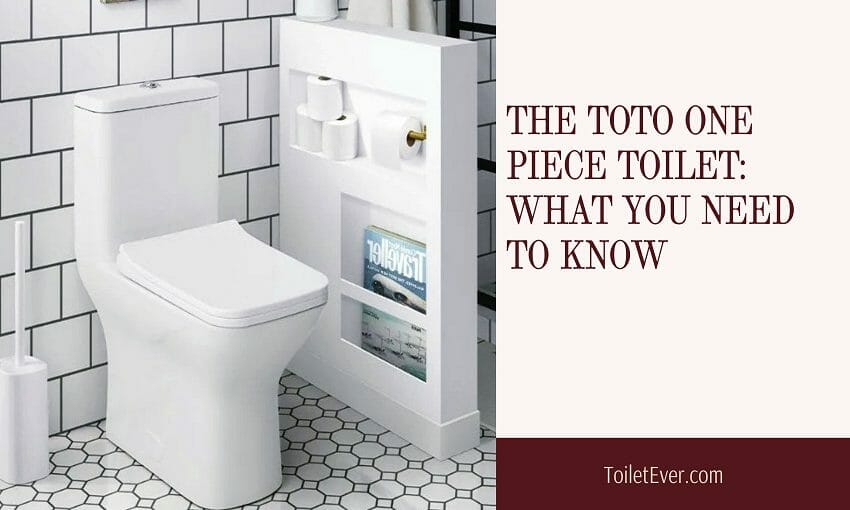 The Toto One Piece Toilet