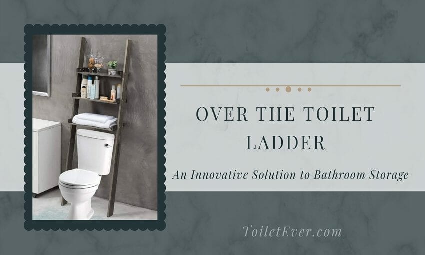 Over the Toilet Ladder