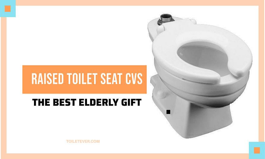 Raised Toilet Seat Cvs The Best Elderly T Toiletever