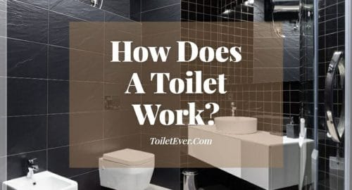 How Does A Toilet Work