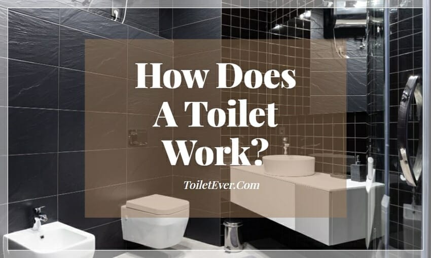 How Does A Toilet Work