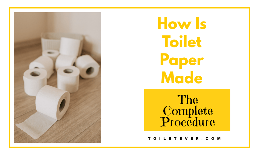 How Is Toilet Paper Made