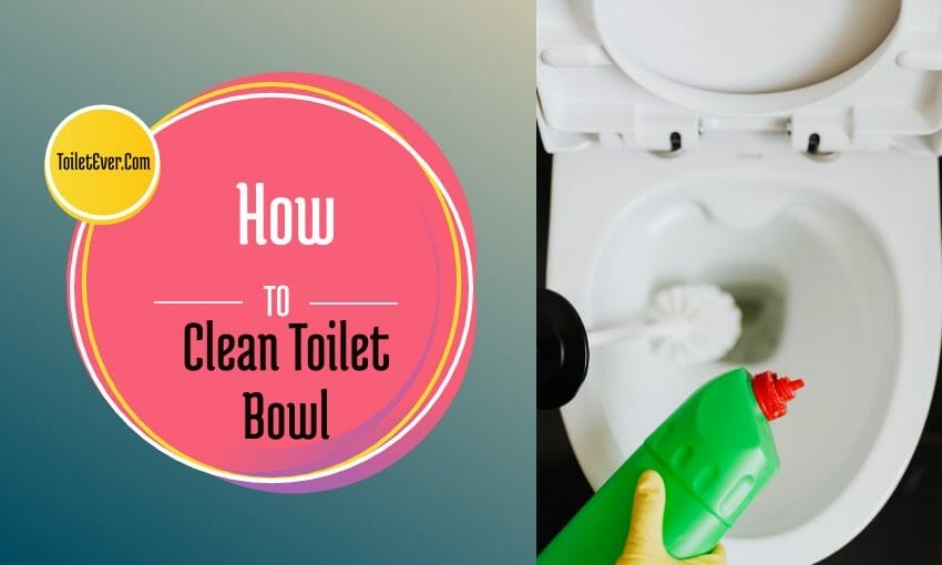 How to Clean Toilet Bowl