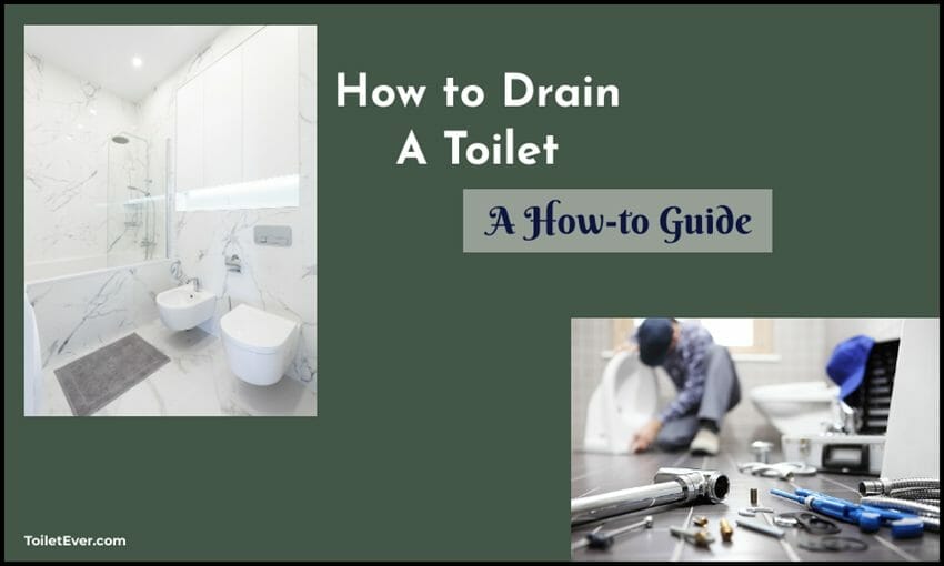 How to Drain A Toilet A How-to Guide