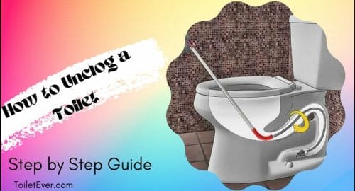 How to Unclog a Toilet