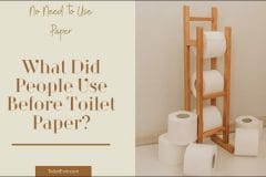 What Did People Use Before Toilet Paper