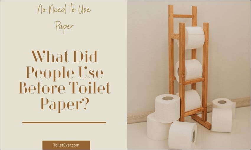 What Did People Use Before Toilet Paper