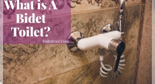 What is A Bidet Toilet