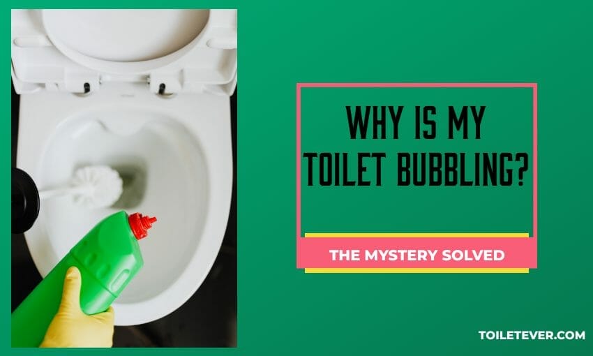 Why Is My Toilet Bubbling: The Mystery Solved - Toiletever