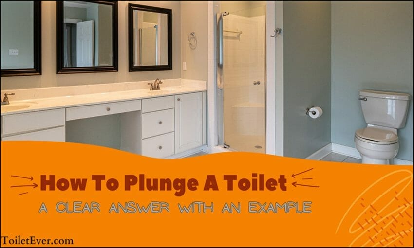 how to plunge a toilet