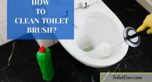 How to Clean Toilet Brush