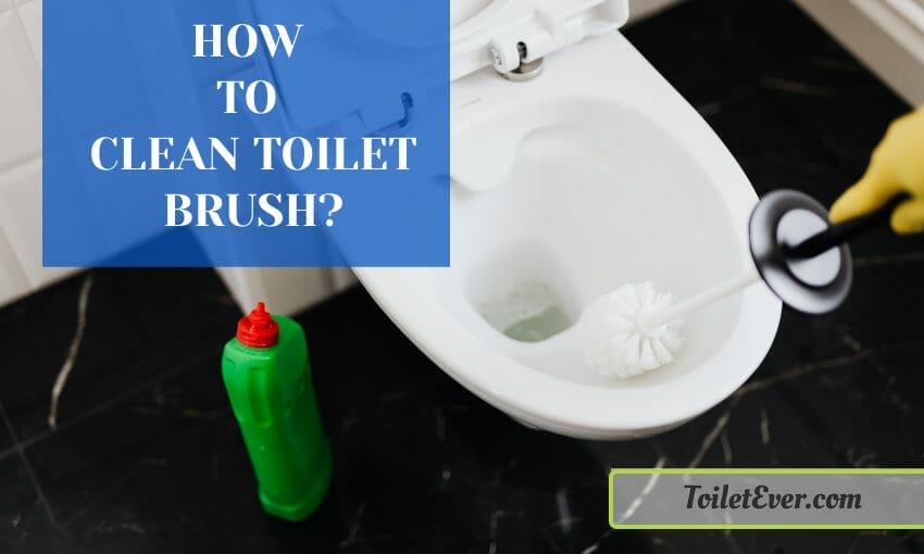 How to Clean Toilet Brush