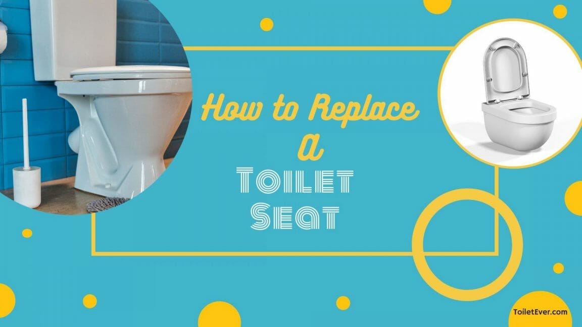 How to Replace A Toilet Seat? Toiletever
