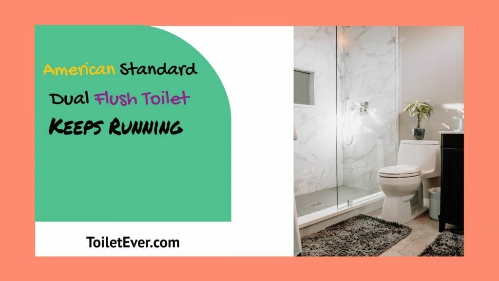 American Standard Dual Flush Toilet Keeps Running Toiletever