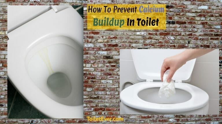 How To Prevent Calcium Buildup In Toilet? - Toiletever