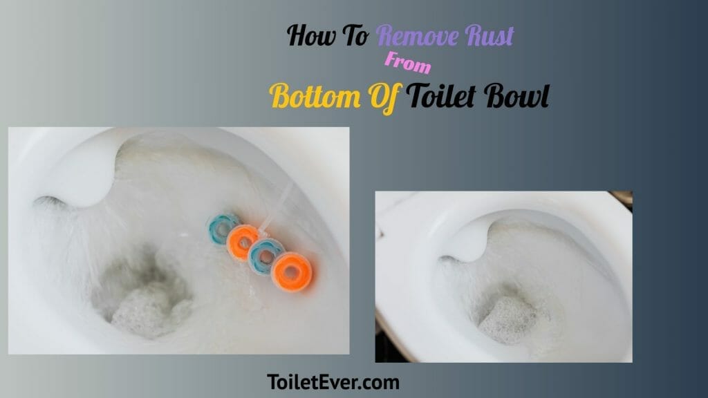 How To Remove Rust From Bottom Of Toilet Bowl? Toiletever