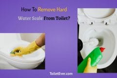 How To Remove Hard Water Scale From Toilet?